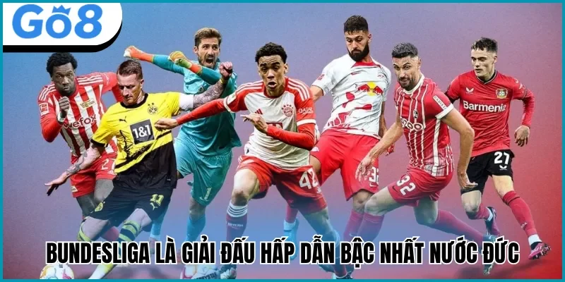 Bundesliga Go8 mang đến thông tin sớm nhất