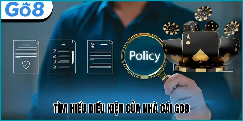 Điều kiện và điều khoản tìm hiểu